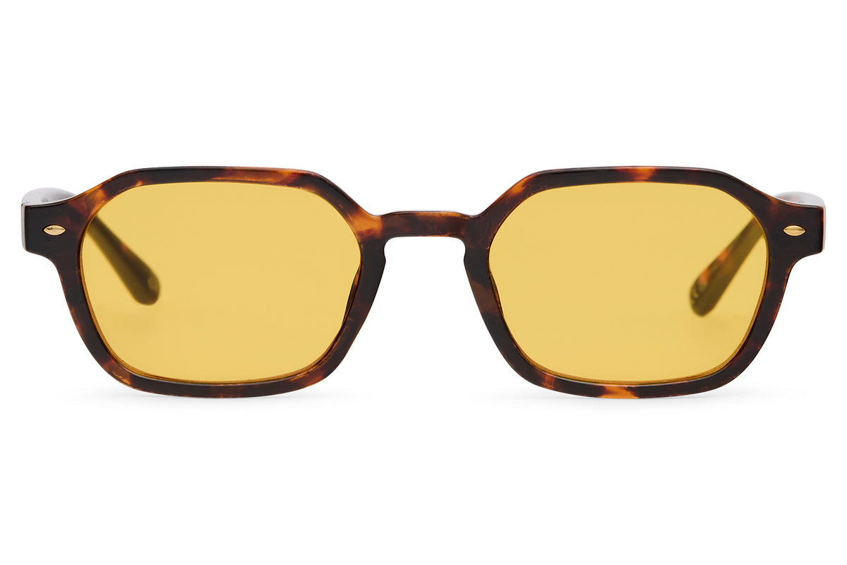 Lunettes de soleil - modèle Pyléa